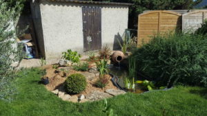 Création jardin avec bassin