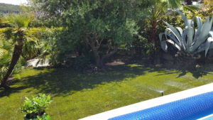 Pose de pelouse autour d'une piscine