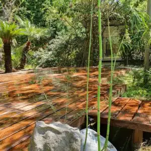 Jardin paysagé exotique et terrasse en bois